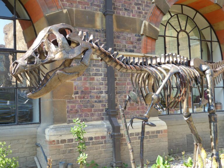 Cantab Tours guide leading visitors through central Cambridge